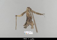 藏品(中國湖北皮影戲偶身)的圖片